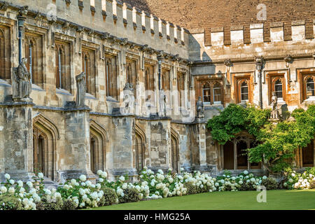 Magdalen College Oxford UK Stockfoto