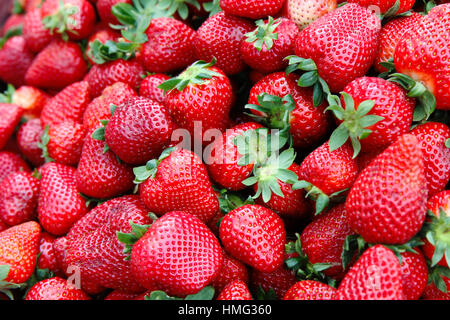 Detail der Erdbeere in Gruppe Stockfoto