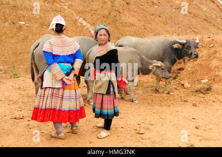 Bac Ha, Vietnam - 22. Oktober: Ethnische Frauen in traditioneller Kleidung von zwei Personen sind bei Rindern auf dem Markt in Bac Ha Stadt am Oktober Handel Stockfoto