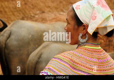 Bac Ha, Vietnam - 22. Oktober: Ethnische Frauen in traditioneller Kleidung von zwei Personen sind bei Rindern auf dem Markt in der Stadt von Bac Ha am Oktober Handel Stockfoto