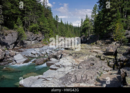 Gebirgsbach in Glacier Nationalpark Stockfoto