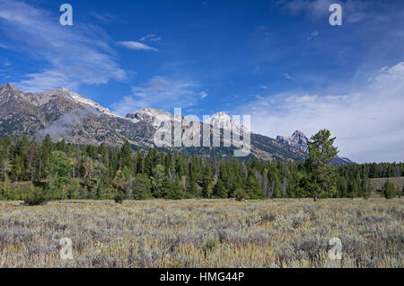 Gebirge und Prärie in Grand Teton Nationalpark Stockfoto