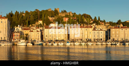 Am Abend Sonnenlicht auf Marina, der Gebäude und der alten Stadtmauer, Piran, Primorska, Slowenien Stockfoto