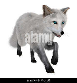 3D-Rendering ein Polarfuchs isoliert auf weißem Hintergrund Stockfoto