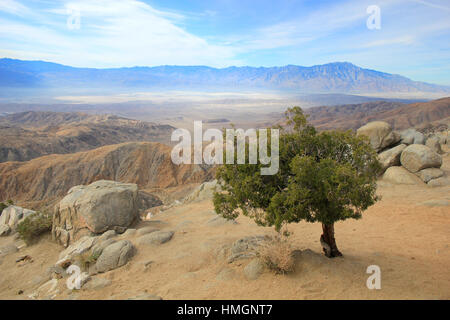 Keys View, Joshua Tree Nationalpark Stockfoto