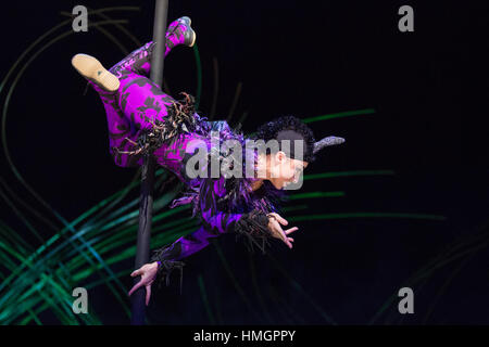 London, UK. 11. Januar 2016. Generalprobe des Cirque du Soleil-Show Amaluna in der Royal Albert Hall. Zeigt laufen vom 12. Januar bis 26. Februar 2017. Stockfoto