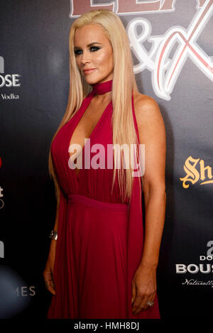 Houston, TX, USA. 3. Februar 2017. Jennny McCarthy auf 2017 Leder & Schnürsenkel Super Bowl Party bei Hughes Manor in Houston, Texas am 3. Februar 2017. Bildnachweis: Zeusfloreus/Medien Punch/Alamy Live-Nachrichten Stockfoto