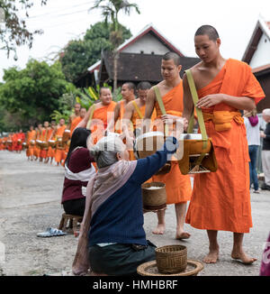 Mönche und Geber, frühmorgens Almosen Prozession, Luang Prabang, Laos Stockfoto