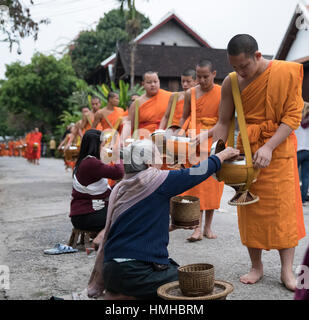 Mönche und Geber, frühmorgens Almosen Prozession, Luang Prabang, Laos Stockfoto