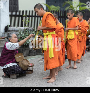 Mönche und Geber, frühmorgens Almosen Prozession, Luang Prabang, Laos Stockfoto