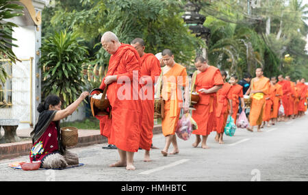 Mönche und Geber, frühmorgens Almosen Prozession, Luang Prabang, Laos Stockfoto