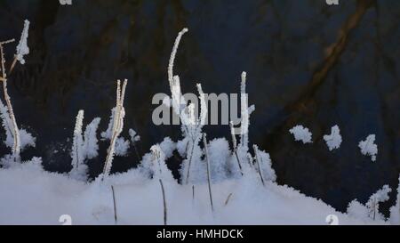 gefrorenen Rasen fließt Strom Winter Wald die Naturlandschaft Stockfoto