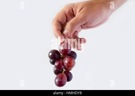 Eine Hand hält eine Reihe von roten Trauben mit einem weißen Hintergrund. Foto in einem Studio.