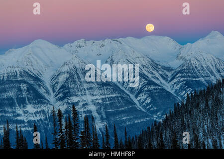 Full Moon rising über Kanadische Rockies; von Esplanada Bereich betrachtet; Selkirk Range; Britisch-Kolumbien; Kanada Stockfoto