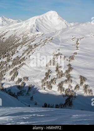 Verschneite Winterlandschaft; Esplanade-Bereich; Selkirk Range; Britisch-Kolumbien; Kanada Stockfoto