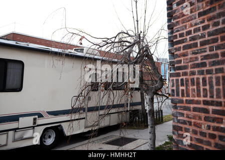 Wohnmobil, Straßenszene, Williamsburg, Brooklyn, New York City Stockfoto