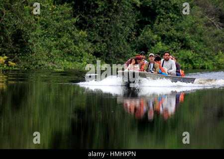 Touristischen Reise Pantanal, Eco freundliche Fluss Safari, Pantanal, Mato Grosso, Brasilien, Südamerika Stockfoto