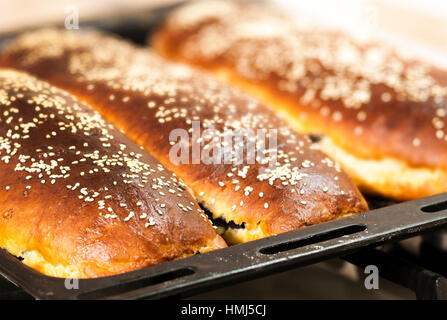 Frisch gesichert hausgemachte Torten mit Sesam auf ein Backblech Gericht Nahaufnahme bedeckt. Stockfoto