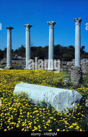 Klassischen Säulen in das antike Gymnasium bei Salamis, ein Ruined antike griechische Stadt in der Nähe von Famagusta auf der Ostküste von Nord-Zypern Stockfoto