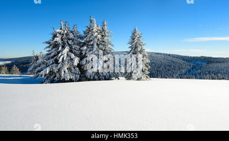 Winterlandschaft am Fichtelberg, Fichten, schneebedeckt, Erzgebirge, Sachsen, Deutschland Stockfoto