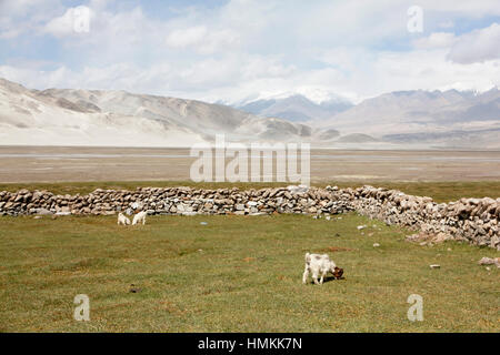 White Sands, Berge und Bulung-Kul-See Stockfoto