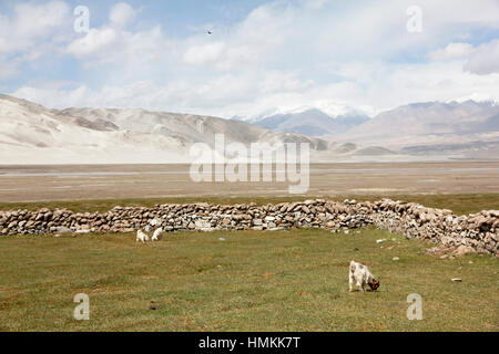 White Sands, Berge und Bulung-Kul-See Stockfoto