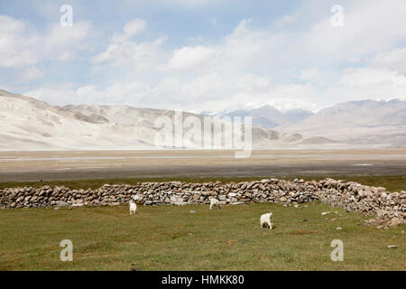 White Sands, Berge und Bulung-Kul-See Stockfoto