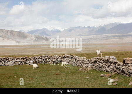 White Sands, Berge und Bulung-Kul-See Stockfoto