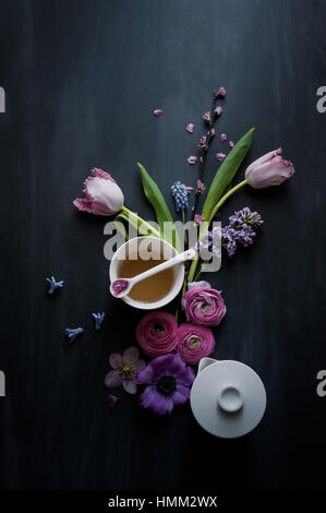 gestylte Stillleben mit rosa Papagei Rüschen Tulpe Kirschblüte Anemonen Muscari Ranunkeln auf einer dunklen gemalten Hintergrund angeordnet Stockfoto