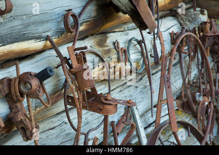 Lagerhalle/Sattelkammer Wand, Riddle Brüder Ranch National Historic District, Donner Und Blitzen Wild and Scenic River, Steens Mountain Zusammenarbeit Stockfoto