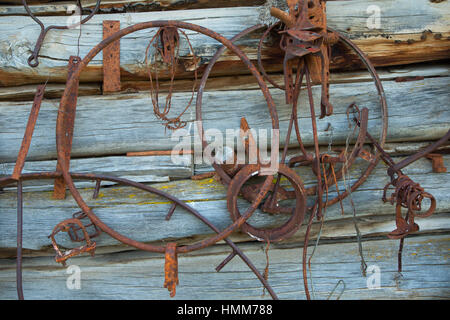 Lagerhalle/Sattelkammer Wand, Riddle Brüder Ranch National Historic District, Donner Und Blitzen Wild and Scenic River, Steens Mountain Zusammenarbeit Stockfoto