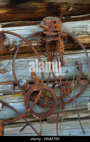 Lagerhalle/Sattelkammer Wand, Riddle Brüder Ranch National Historic District, Donner Und Blitzen Wild and Scenic River, Steens Mountain Zusammenarbeit Stockfoto