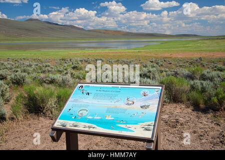 Mann-See interpretativen Board, Süd-Ost Steens Tour Route, Burns District Bureau of Land Management, Oregon Stockfoto