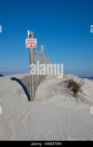 USA-Maryland MD Assateague Island National Seashore geschützten Sanddünen Stockfoto