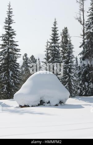 Traditionelle Holz WC im Schnee Stockfoto