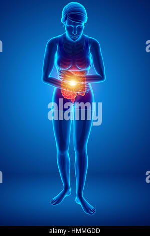 menschlichen Körper Anatomie mit Gelenkschmerzen Stockfoto