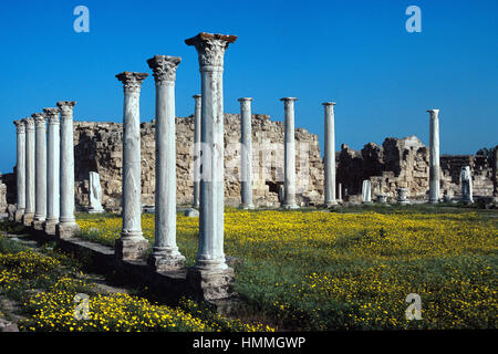 Klassischen Säulen in das antike Gymnasium bei Salamis, ein Ruined antike griechische Stadt in der Nähe von Famagusta auf der Ostküste von Nord-Zypern Stockfoto