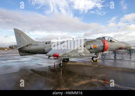 TORREJON, Spanien - 11. Oktober 2014: Spanische Marine Harrier Kampfjet auf dem Rollfeld von Torrejon Airbase. Stockfoto