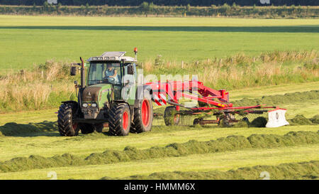 ACHTERHOEK, Niederlande - 16. August 2016: Fendt Traktor mähen Rasen Ackerland Stockfoto