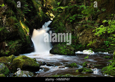 Wasserfall im Schwarzwald in Deutschland Stockfoto