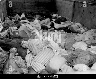 KZ Dachau Leichen in einem der fast 40 Triebwagen mit den Körpern der zwischen 2.000 bis 3.000 Häftlinge aus dem KZ Buchenwald am 7. April 1945 evakuiert wurden. Der Zug kam in Dachau am 28 April. Foto: U.S. Holocaust Memorial Museum. Stockfoto