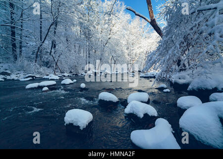 New Jersey, USA. 9. Februar 2017. Ken Lockwood Schlucht bedeckt in Schnee und Eis, kurz nachdem Winter Sturm Niko abgeführt. Bildnachweis: Jimmy Kastner/Alamy Live-Nachrichten Stockfoto