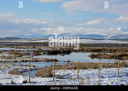 Kinross, Schottland. 10. Februar 2017. Eine verschneite Loch Leven National Nature Reserve aus der RSPB Loch Leven Reserve, mit die Ochil Hills im Hintergrund fotografiert Credit: Ken Jack/Alamy Live News Stockfoto