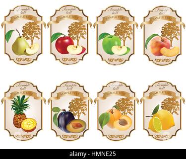 Etiketten mit dem Bild von Apfel, Pfirsich, Aprikose, Pflaume, Ananas, Birne, Zitrone Stock Vektor