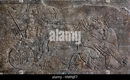 Relief Darstellung einer Löwenjagd (Orthostat) assyrischen König Ashurnasirpal II. (883-859 v. Chr.) Nordwesten Palast von Nimrud Assyrien (jetzt im Nordirak). Stockfoto