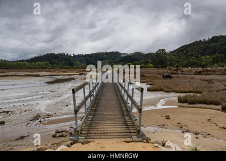 Steg und Gehweg in Abel Tasman National Park, Nelson, Südinsel, Neuseeland. Stockfoto
