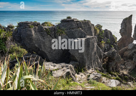 Punakaiki Pancake Rocks, Dolomit Punkt, Südinsel, Neuseeland. Stockfoto