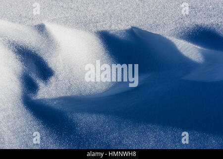 Nahaufnahme Detail von Mustern im frischen Pulverschnee; Esplanade-Bereich; Selkirk Mountains; Britisch-Kolumbien; Kanada Stockfoto