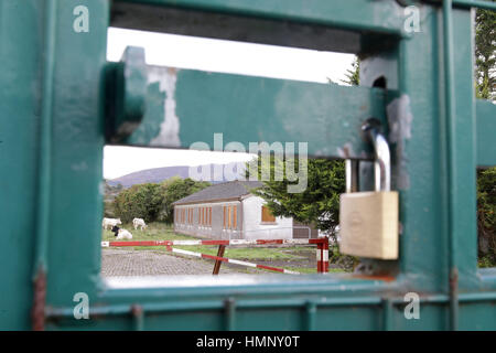 BREXIT & GRENZE. Weidevieh am stillgelegten Zoll- und Akzisenverwaltung Posten an der Grenze zu Nordirland/Irland.  Foto/Paul McErlane Stockfoto