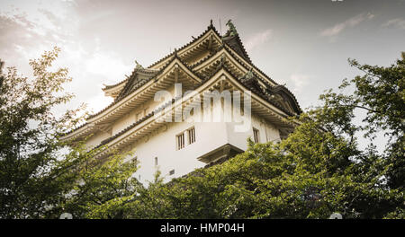 Die Burg Wakayama Stockfoto